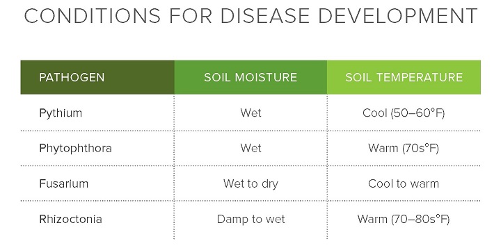 Conditions for Disease Development