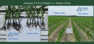 Advance LCO plus starter compared to starter alone