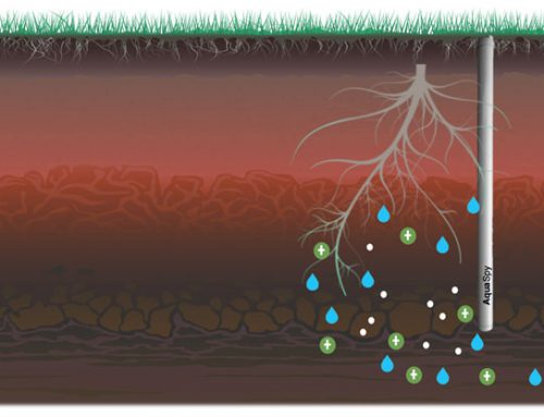 AquaSpy Soil Moisture Probe System